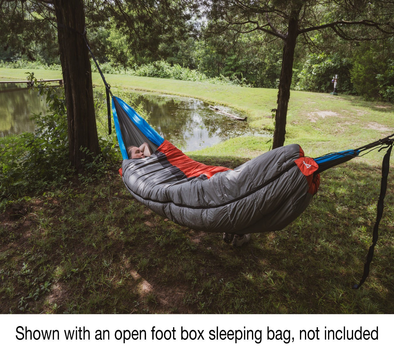 Cirrus Hammock